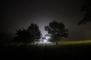 Fototapeta premium Beautiful night landscape of big full moon rising over the mountain road with hill and trees, mystical concept
