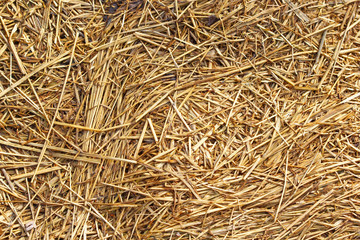 texture of dry straw