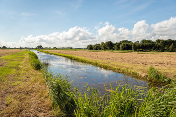 Fototapeta na wymiar Typical Dutch rural landscape in summertime