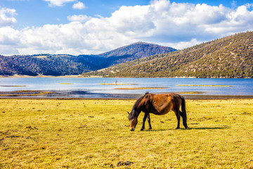 Pudacuo National Park is the first national park established by the Chinese government , The...