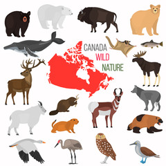 Wild animals of Canada color flat icons set