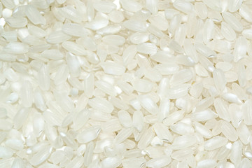 food background - rice