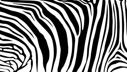 stripe animal jungle zebra fur texture pattern white black