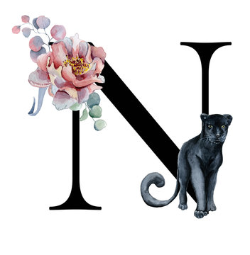  Floral watercolor alphabet. Monogram initial letter N design with hand drawn peony and anemone flower  and black panther