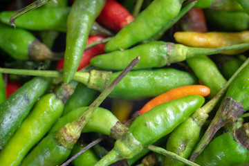 Close up chilli background