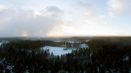 Woodland landscape in winter