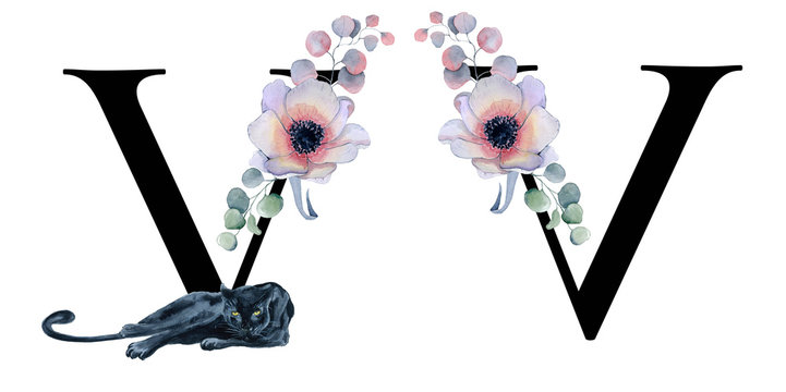  Floral watercolor alphabet. Monogram initial letter V design with hand drawn peony and anemone flower  and black panther 