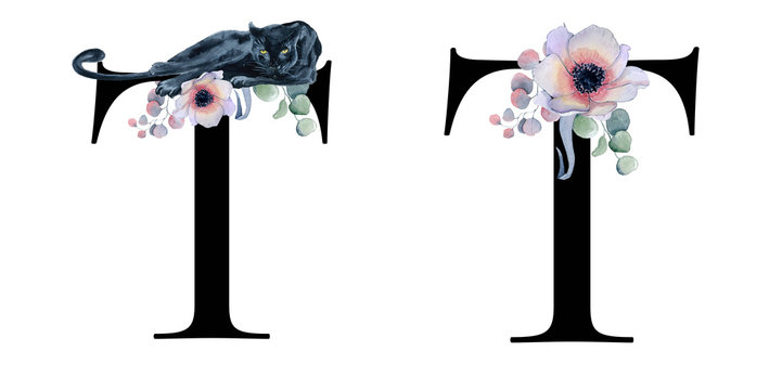  Floral watercolor alphabet. Monogram initial letter T design with hand drawn peony and anemone flower  and black panther
