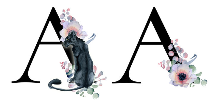 Floral Watercolor Alphabet. Monogram Initial Letter M Design With Hand  Drawn Peony And Anemone Flower And Black Panther For Wedding Invitation,  Cards, Logos Stock Photo, Picture and Royalty Free Image. Image 101737263.