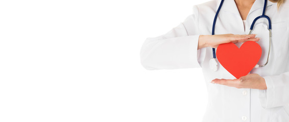 Doctor holding paper heart