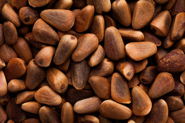 cedar nuts, background