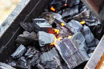 Assorted delicious grilled meat with vegetables over the coals on a barbecue
