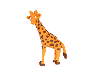 Plasticine artwork. Handmade giraffe.