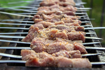 Assorted delicious grilled meat with vegetables over the coals on a barbecue