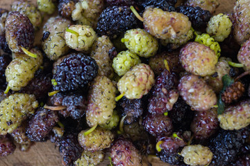 Fresh mulberry juicy berries - green and black (purple). Organic farm product with high level of antioxidants. Raw vegan vegetarian food