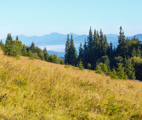 Summer mountain view (Carpathian, Ukraine).