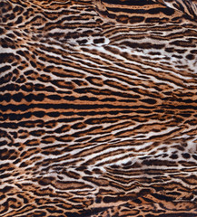 leopard background texture