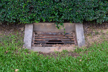 Drainage water in garden.