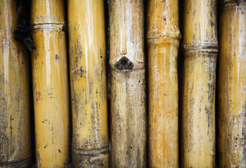 Bamboo wall background, bamboo texture pattern background