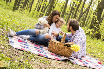 Happy young parents enjoying picnic day with kid