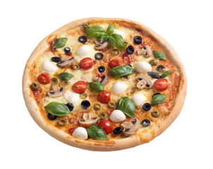 Italian pizza with mozzarella