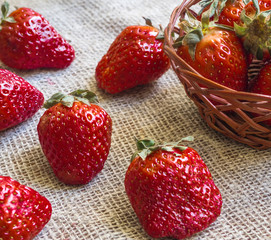 Fresh strawberries in a basket and scattered on a jute background