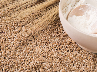 Flour, wheat ears on a background of grains.