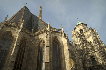 Obraz premium Stephansdom / St. Stephens Cathedral - in Vienna