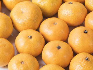 Rows of fresh yellow mandarins