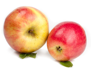 Red apples isolated on white background
