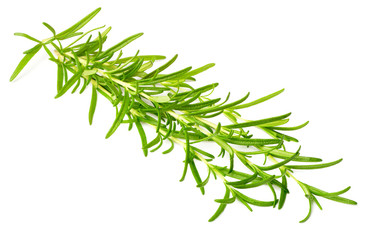 fresh rosemary isolated on white