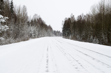 Obraz premium road in the woods in winter