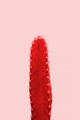 Red cactus on pink background