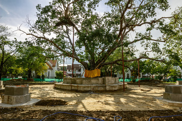 Wat Benchamabophit (The Marble Temple)Often referred to as the “marble temple” in guidebooks, this architectural gem features a magnificent Buddha image, which is a copy of the highly revered Phra Bud