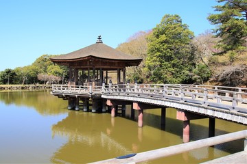 Fototapeta na wymiar 浮見堂/奈良公園