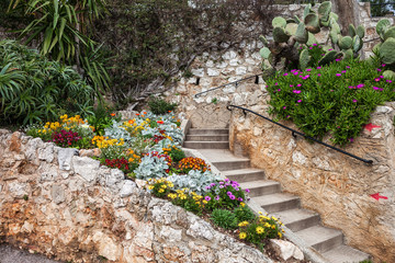Flowers and Stairs in Garden
