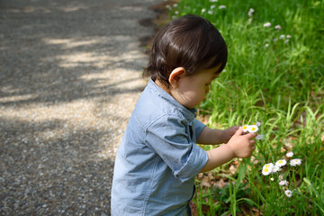 僕と花