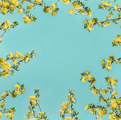 Yellow branch blossom layout frame at blue background