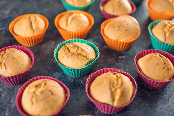 Homemade freshly made cupcakes in silicone molds on dark background. Concept of confectionery cooking