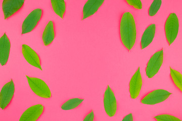 Flat lay pattern with fresh green leaves