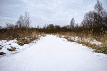 road in the woods in winter