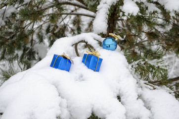blue gifts on Christmas trees in the snow