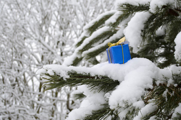 blue gifts on Christmas trees in the snow