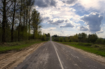 the track through the trees