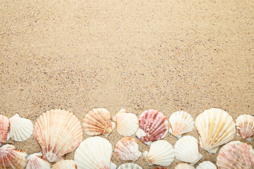 Fototapeta na wymiar Seashells on beach sand
