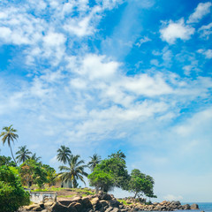 Fototapeta na wymiar Ocean, picturesque beach and blue sky. Sri Lanka