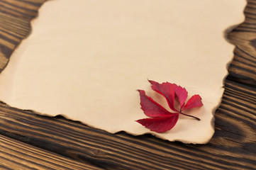 Naklejka na ściany i meble Single old burnt blank paper with one red leaf on brown weathered rustic table