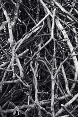 Воображение, мысли в голове, запутанность, эмоции 