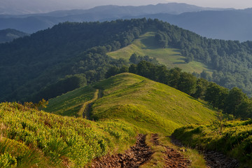 Fototapeta premium The road in the Carpathian mountains. Ukraine.