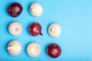Trendy flat lay food concept on blue background, group of white and red onions close up copy space isolated
